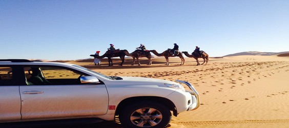 Marruecos viajes, Marruecos tours al desierto, tours desde Marrakech, tours desde Fes, excursiones por Marruecos, viajes de Casablanca, viajes desde Tanger, tours del desierto, Paseos en camello